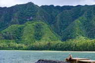 Oahu Private Tour Customizable Half Day thumbnail 3