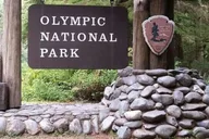 Seattle Olympic National Park Day Tour thumbnail 2