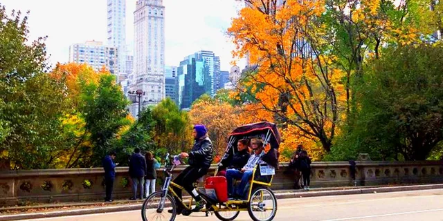 New York City Central Park Pedicab Tour - Image 4