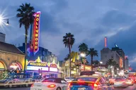 Los Angeles Customizable Private Tour 5 hr thumbnail 3