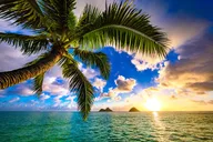 Honolulu Lei Greeting on Arrival thumbnail 4