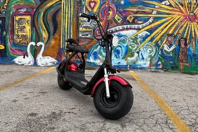 Houston Fat Tire 2-Seater Rental - Image 1