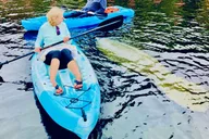 St. Augustine Dolphin and Manatee Paddle Tour 2 hr thumbnail 6