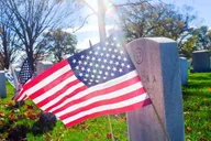 Arlington Cemetery Tour with Changing of the Guard 2.5 hr thumbnail 1