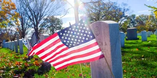 Arlington Cemetery Tour with Changing of the Guard 2.5 hr