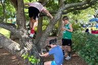 Daniel Island Treasure Hunt thumbnail 3