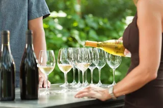 Sonoma Redwoods and Wine Country Tour