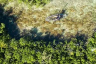 Key West Clear Kayak Eco-Tour thumbnail 3