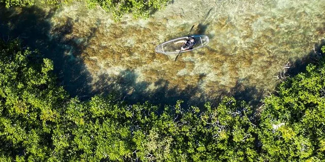 Key West Clear Kayak Eco-Tour - Image 3