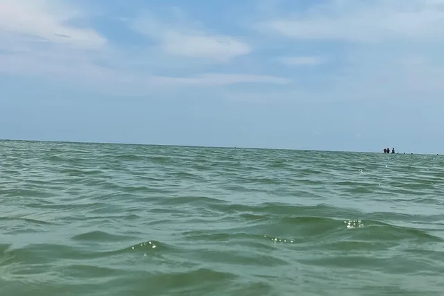 Cape Coral Dolphin Sightseeing Boat Tour - Image 5