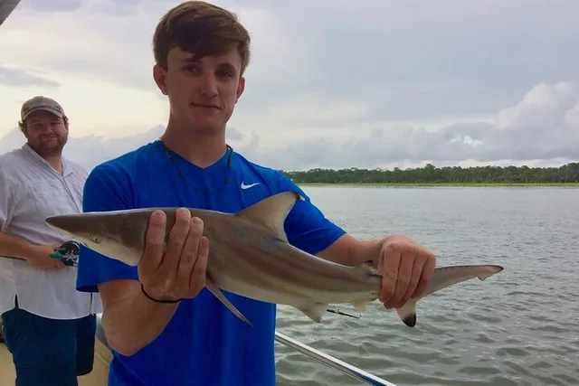 Hilton Head Island Inshore Shark Fishing Trip 3 hr - Image 6