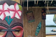 Miami Tiki Cat Boat Tour thumbnail 1