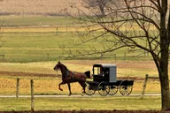 Lancaster Amish Farmlands Guided Tour thumbnail 6