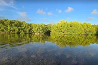 Florida Keys Kayak and Paddleboard Rental thumbnail 3