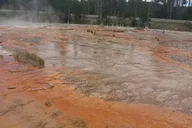 Seattle Yellowstone and Grand Teton 5-Day Tour thumbnail 5