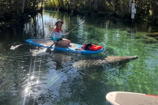 Crystal River Paddle Board Rental 4 Hr