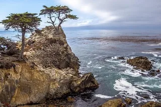 Monterey Private Tour with 17 Mile Drive 3.5 hr