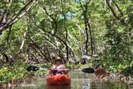 Fort Myers Beach Kayak and SUP Rentals thumbnail 3