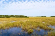 Miami Everglades Private Tour 4 hr thumbnail 3