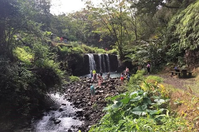Oahu to Maui Road to Hana Day Trip - Image 3
