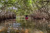 Anclote River Tandem Kayak Tour thumbnail 6