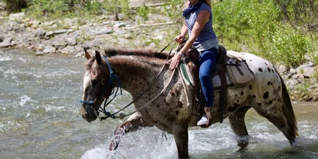 Jackson Horseback Tour with Lunch 4.5 hr - Image 4