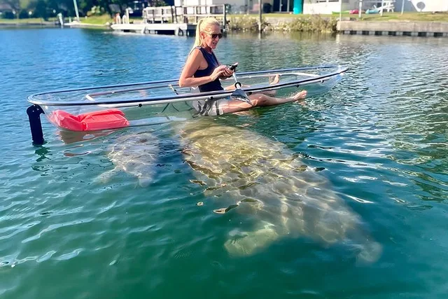 Crystal River Manatee Kayak Tour with Free Photos - Image 5