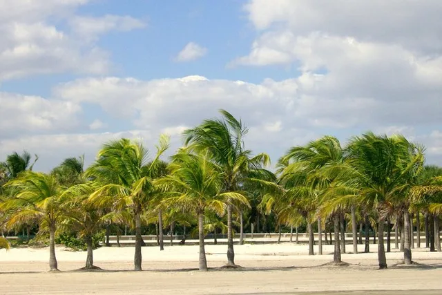 Miami City Tour with Private Driver 8 hr - Image 6