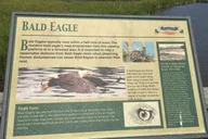 Chesapeake Beach Walking Tour Railway Trail thumbnail 5
