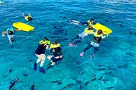 Honolulu Catamaran Snorkel with Turtles 3 hr thumbnail 4