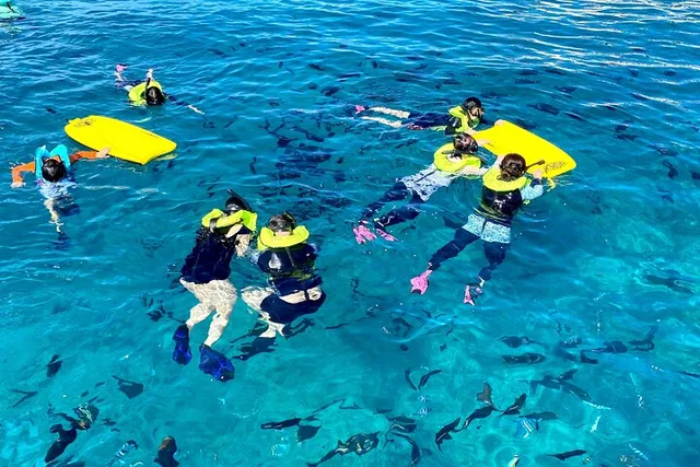 Honolulu Catamaran Snorkel with Turtles 3 hr - Image 4