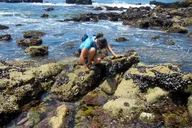 Portland Oregon Coast Tour thumbnail 6