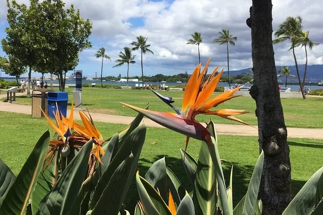 Oahu Pearl Harbor and North Shore Tour - Image 2