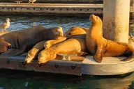 Marina del Rey Boat Cruise with Wine and Cheese thumbnail 3