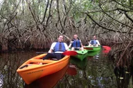 Marco Island Mangrove Tunnel Kayak Adventure thumbnail 1