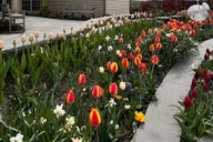 Boston Day Trip to New England Botanic Gardens thumbnail 3
