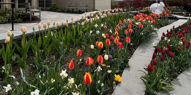 Boston Day Trip to New England Botanic Gardens - Image 3