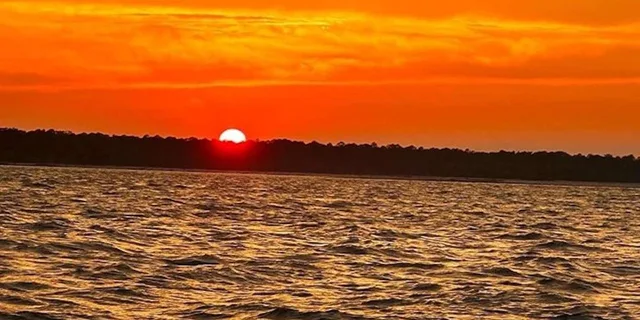 Hilton Head Dolphin Tour at Sunrise - Image 3