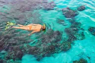 Kailua-Kona Manta Ray Snorkel Tour thumbnail 3