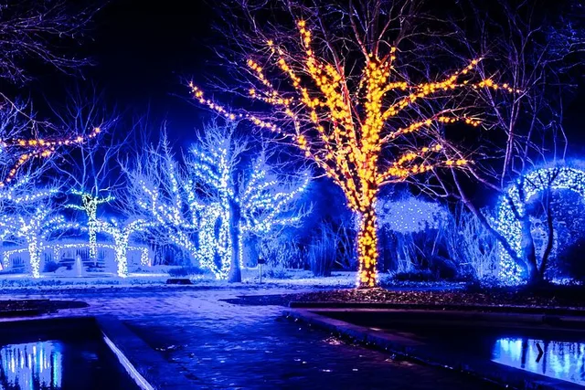Cookeville Christmas Lights Tour in RoadStallion - Image 5