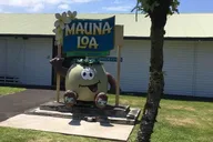 Hilo Volcano Helicopter Tour & Ground Adventure thumbnail 2