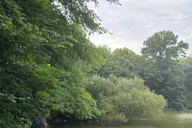 New York City Fishing Tour in Central Park thumbnail 1