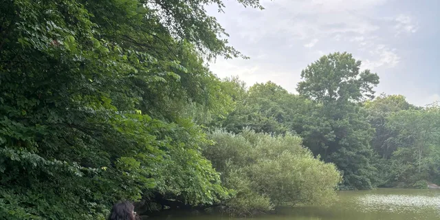 New York City Fishing Tour in Central Park - Image 1