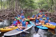 Miami Biscayne Bay Island and Nature Tour 4 hr thumbnail 6