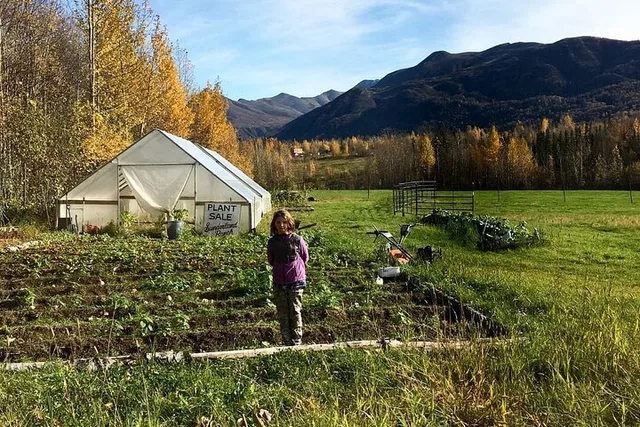 Anchorage Trail Ride and Homestead Tour - Image 6