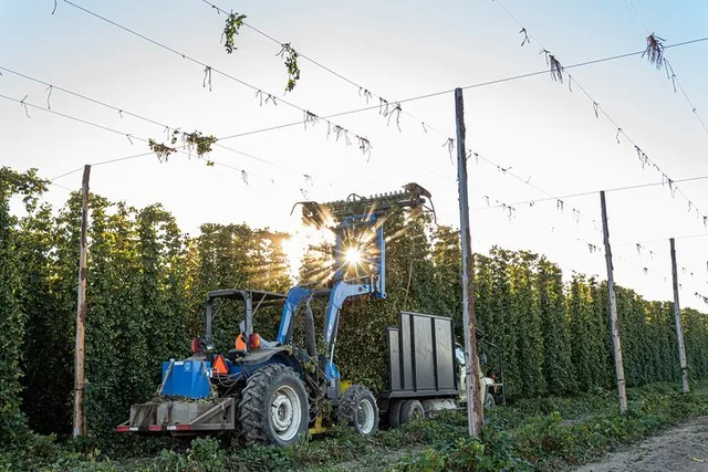 Yakima Valley Hop Farm & Beer Tour - Image 5
