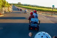 Sonoma Wine Country Electric Trike Tour 3 hr thumbnail 1