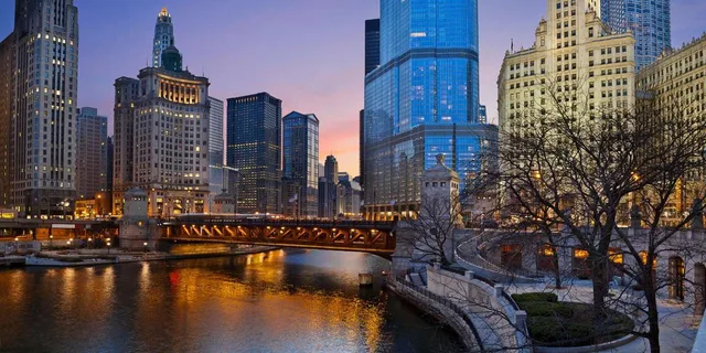Chicago Downtown Guided Walking Tour - Image 6