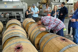 Sonoma Food and Wine E-Bike Tour