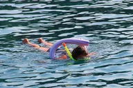 Marathon Key Snorkeling Adventure at Sombrero Reef 3 hr thumbnail 3